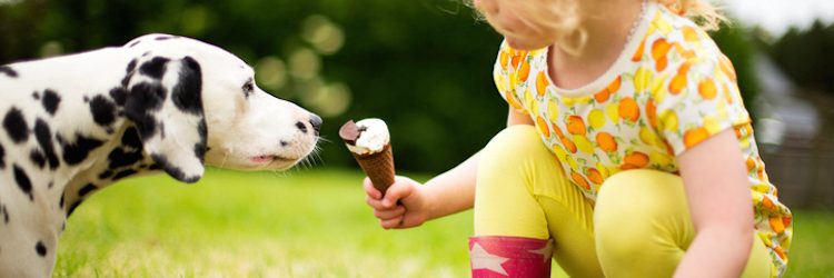 Little girl holding an ice-cream offers it to a dalmatian puppy. Close up side view and low down as they sit face to face in the garden.